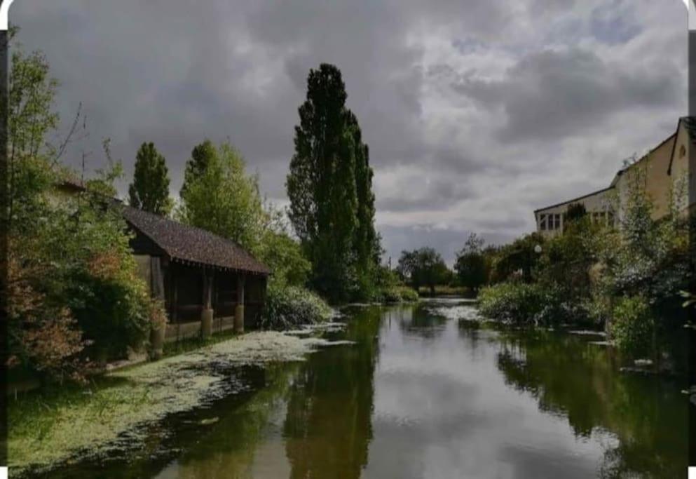 Appartement Rez De Jardin La Chartre-sur-le-Loir المظهر الخارجي الصورة